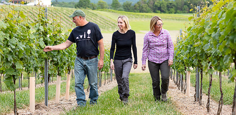 photo of Galen, Sarah and Erin in the vineyard